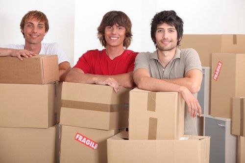 Professional movers handling boxes in Bloomsbury apartment